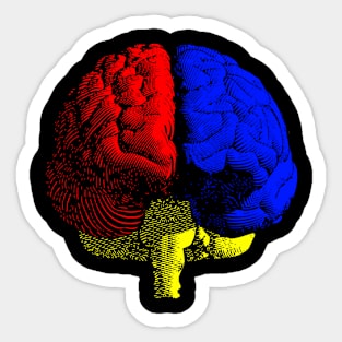 the Primary Brain Sticker